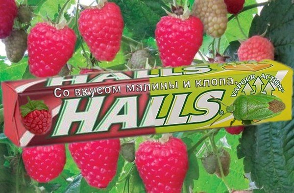 Halls     