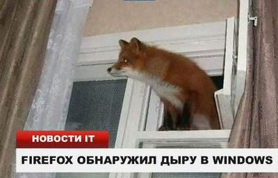 FireFox    