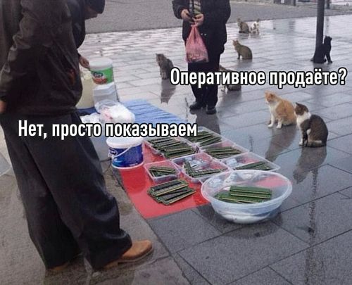 ����������� �� ������� - ����������